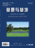 草原与草坪