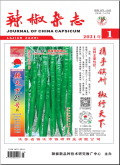 辣椒杂志