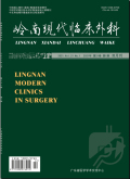岭南现代临床外科
