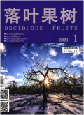 落叶果树