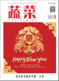 蔬菜