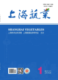 上海蔬菜