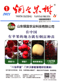 烟台果树