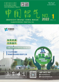 中国沼气