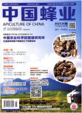 中国蜂业